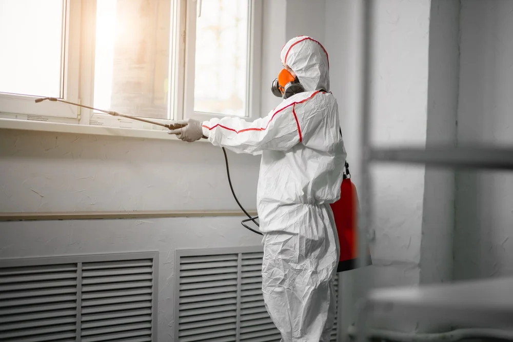 Professional mold remediation services in La Veta, CO